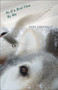 As If a Bird Flew By Me by Sara Greenslit - Paperback