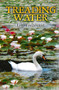 Treading Water by Lily Trezevant - Paperback