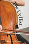 The Cellist by Kevin Marsh - Paperback