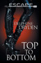 Top to Bottom : 3 by Delphine Dryden - Paperback