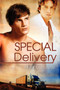 Special Delivery by Heidi Cullinan - Paperback