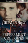 Peppermint Creek Inn by Jan Springer - Paperback