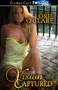 Vision Captured by Lorie O'Clare - Paperback
