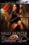 Divided Love by Sally Painter - Paperback