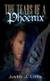 The Tears of a Phoenix by Justin J Little - Paperback