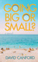 Going Big or Small? by David Canford - Paperback