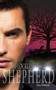 The Flockless Shepherd by Gary Friedman - Paperback
