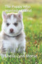 The Puppy Who Wanted a Friend by Sheila Lynn Morse - Paperback