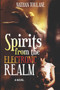 Spirits From The Electronic Realm by Nathan Toulane - Paperback