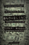 Snowblind : A Brief Career in the Cocaine Trade by Robert Sabbag - Paperback