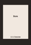 Volk by A. A. Sokolov - Paperback Volk by A. A. Sokolov - Paperback