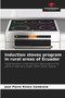 Induction stoves program in rural areas of Ecuador by Jean Pierre Rivero Zambrano - Paperback