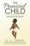 The Promised Child : David Is the Name by D L Israel - Paperback