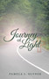 Journey of Light by Pamela J Olynek - Paperback