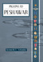 Pigeons to Peshawar by Kenneth F Schanke - Hardback