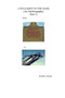 A Wild Shot in the Dark - Part 1 by Bill Thomas - Paperback