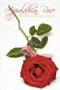 Appalachian Rose by Sharon Rose McCormick - Paperback