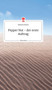 Pepper Nut - der erste Auftrag. Life is a Story - story.one by Stefanie Groetzner - Hardback