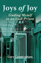 Joys of Joy : Finding Myself in an Irish Prison by Gary Cunningham - Paperback