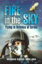 Fire in the Sky by Amos Amir - Hardback
