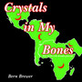 Crystals in My Bones : One Sickle Cell Anemia Journey by Bern Brewer - Paperback