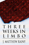 Three Weeks in Limbo by J Matthew Rainy - Paperback