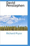 David Penstephen by Richard Pryce - Paperback