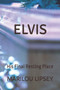 Elvis : His Final Resting Place by John Corral - Paperback