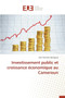 Investissement Public Et Croissance Economique Au Cameroun by Djiengoue-J - Paperback