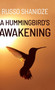 A Hummingbird's Awakening by Russo Shanidze - Hardback