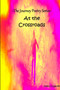 The Journey At The Crossroads by James Lagoski - Paperback
