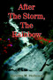After The Storm, The Rainbow by Dorothy M. Holloway - Paperback