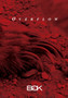 Overflow by Bgk - Paperback
