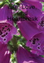 Life, Love, and Heartbreak by Peggy Zito - Hardback