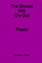 The Stones Will Cry Out by Bonnie E. Okun - Paperback