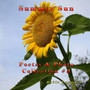 Summer Sun by Robin Langston - Paperback