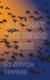 All that the Birds See by Devon Tipping - Paperback