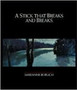 A Stick that Breaks and Breaks by Marianne Boruch - Paperback