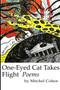 One-Eyed Cat Takes Flight by Mitchel Cohen - Paperback