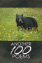 Another 100 Poems by Avram Mednick - Paperback