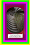 Seres maravillosos by Reyes Rios - Paperback