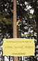 Love, Grief, Hope : One Woman's Journey Through Life by Ann Bilott - Paperback
