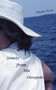 Sonets from the Chesapeke by Evans Stephen - Paperback