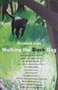 Walking the Black Dog by Elizabeth Lane - Paperback