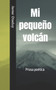 Mi pequeno volcan : Serie Poemas by Javier Otaduy - Paperback