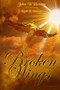 Broken Wings by John Henson - Paperback