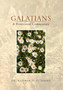 Galatians : A Pentecostal Commentary: A Pentecostal Commentary by Dr Matthew O Sadiku - Hardback