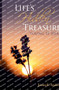 Life's Hidden Treasures : Young at Heart by James E Anderson - Paperback