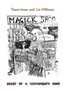 Diary of a Witchcraft Shop by Trevor Jones - Paperback