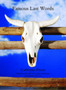 Famous Last Words by Catherine Pierce - Paperback